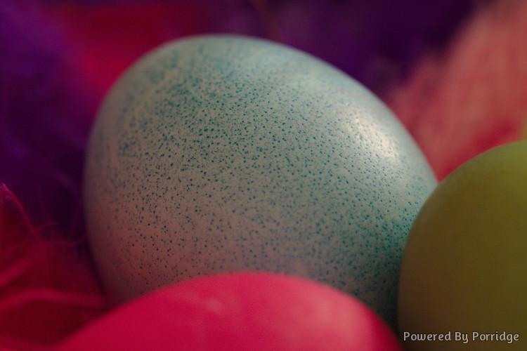 Painted eggs